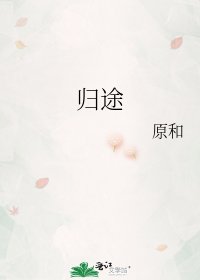 归途